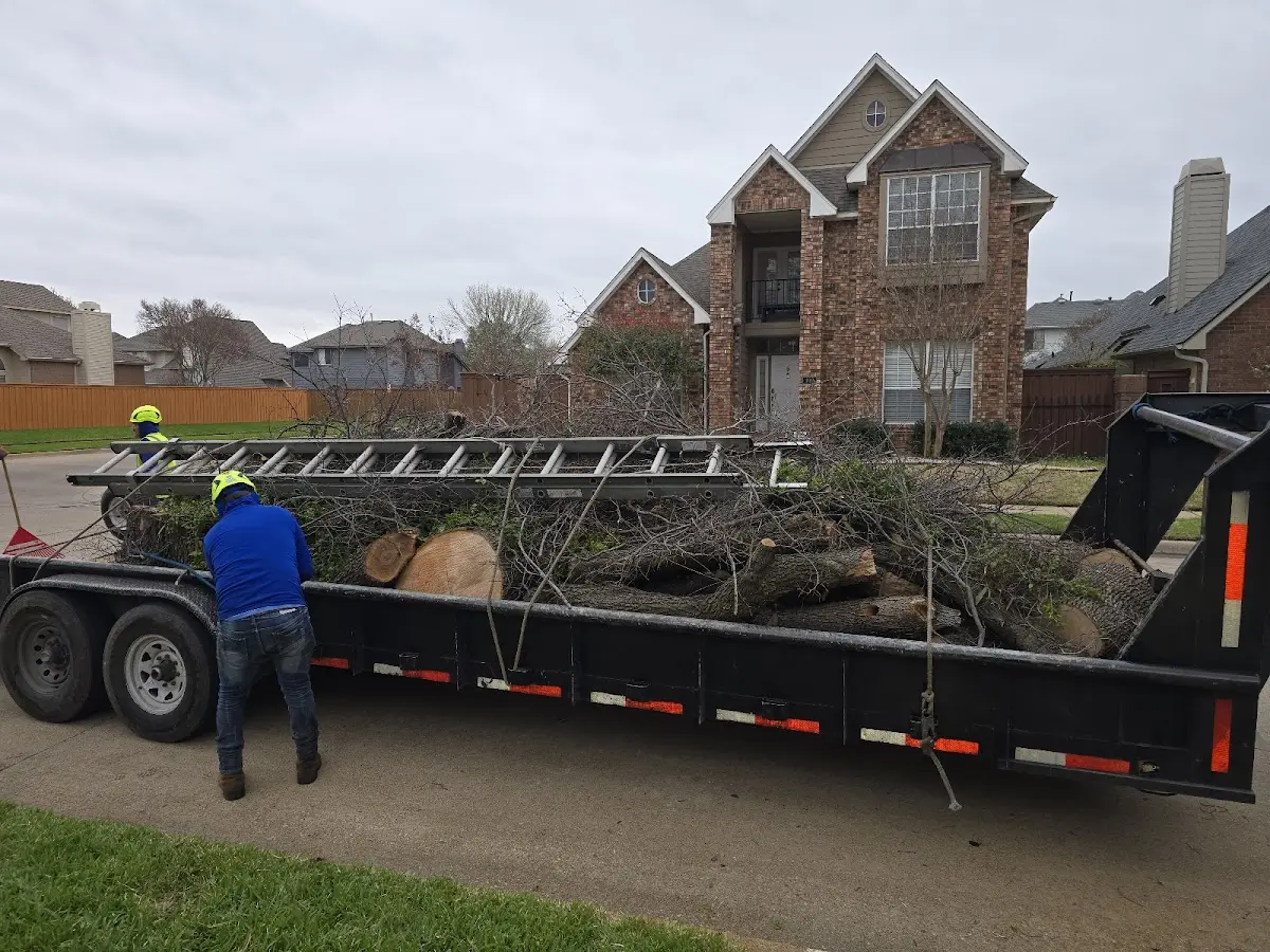 Expert Tree Pest Control with proper safety equipment in Burley